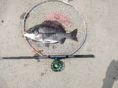 なんちゃってスライダー釣法で釣れました！