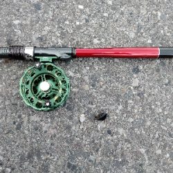 リベンジで黒鯛ゲット