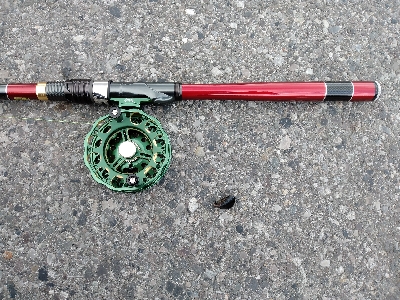 リベンジで黒鯛ゲット