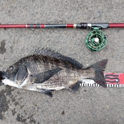 年無しに あと1cm