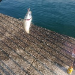 朝7時からの2時間