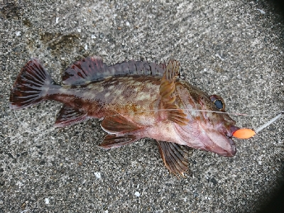 祝♥️奈保子さ…