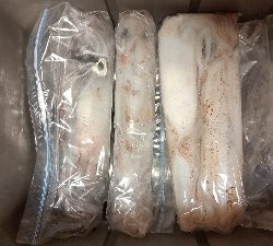 タイラバからのイカメタル