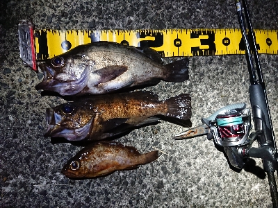 仕事終わりメバリング