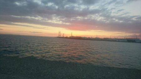 タコ釣れました。