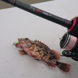 南港ガシリング