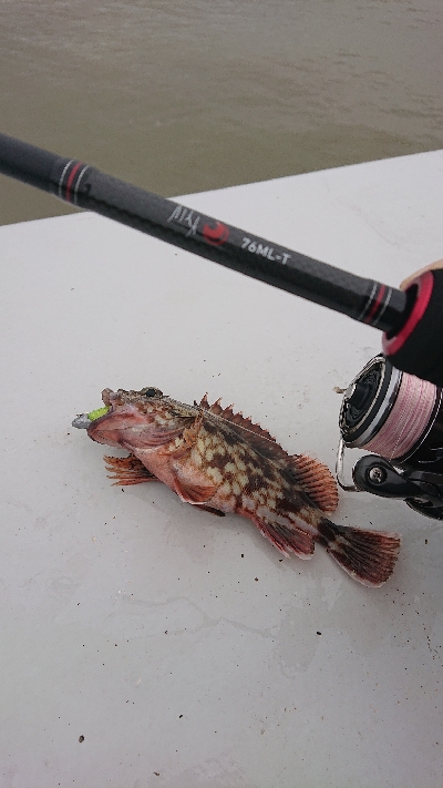 南港ガシリング