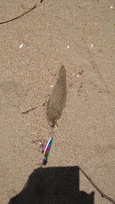 これじゃない。