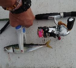 やっぱりサバゲー