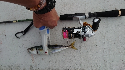 やっぱりサバゲー