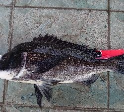 ラッキーヒット