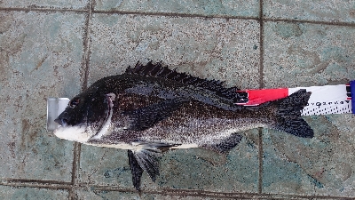 ラッキーヒット