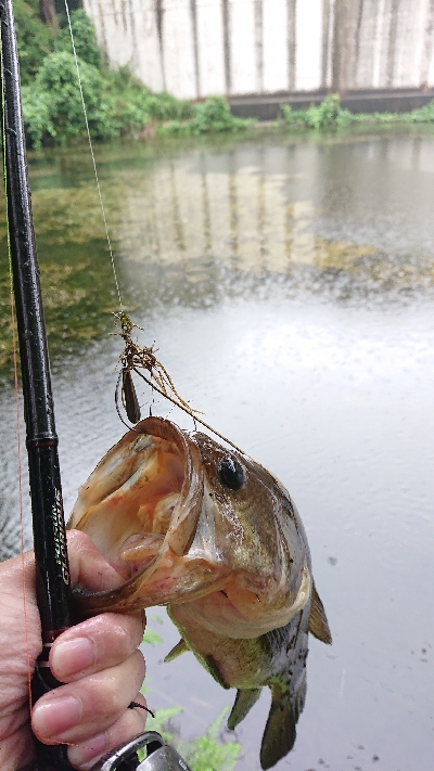 ライトパンチング