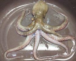 雨の中…　とりあえずちょっと1杯