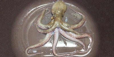 雨の中…　とりあえずちょっと1杯