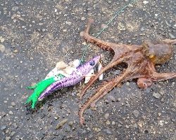 雨に打たれて…