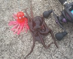 激シブですが何とか