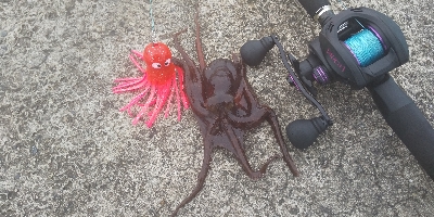 激シブですが何とか