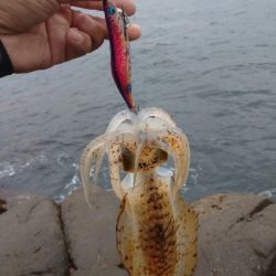 ピンポイント狙い撃ち