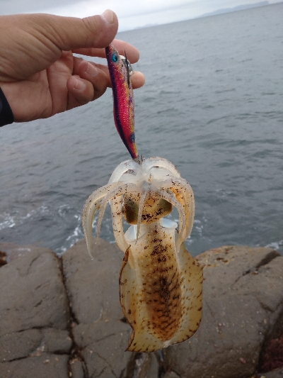 ピンポイント狙い撃ち