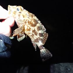 ボトムネチネチ