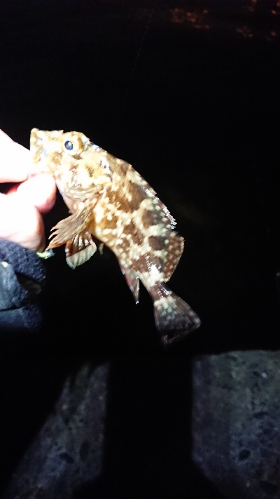 ボトムネチネチ