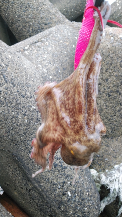 最後にハプニング