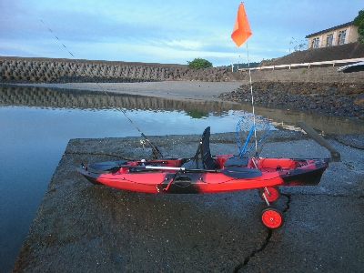 初カヤックフィッシングで、チヌ釣果！&リリース