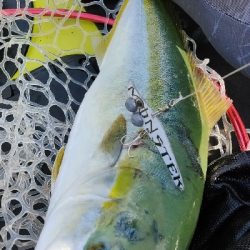 オリジナルルアー。モンスターバイブでハマチ!