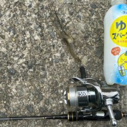 ハゼクラ　大失敗