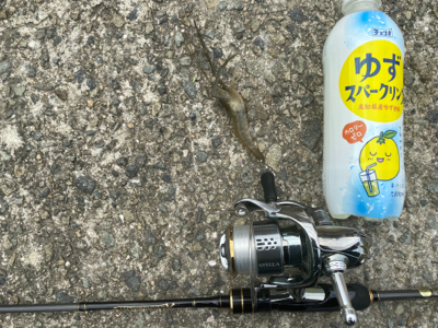 ハゼクラ　大失敗