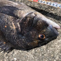 1本満足〜1本満足〜ッ♫！