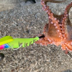 仕事帰り短時間勝負！