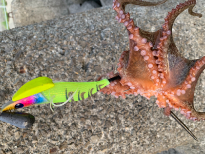 仕事帰り短時間勝負！