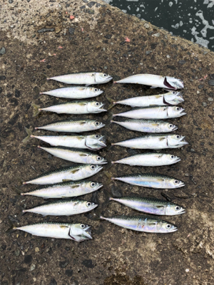 雨が降るまで…