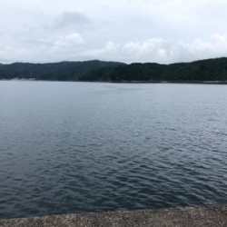 ダイペンの練習