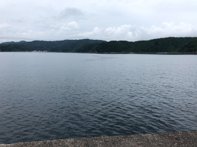 ダイペンの練習