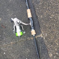 短時間アジング