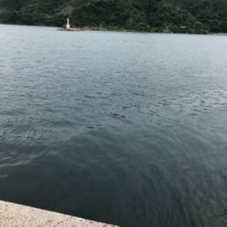 昼過ぎ2時からのエギング!