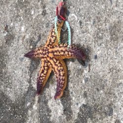 親父たち久々‼️