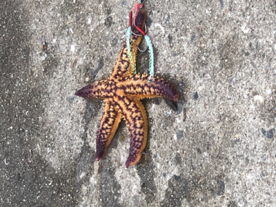 親父たち久々‼️