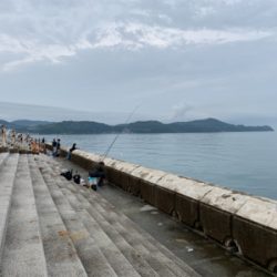 mcにて太刀魚狙い