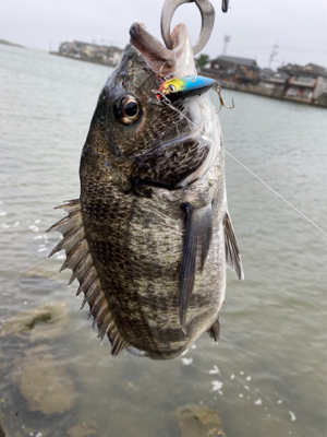 トップチニング