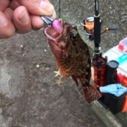 風　強っ（笑）