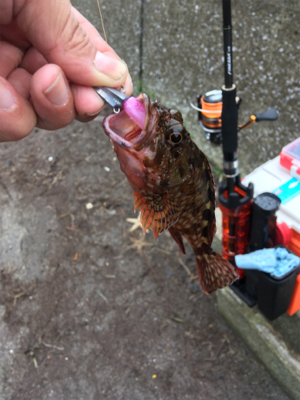 風　強っ（笑）