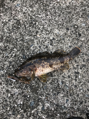 どこでもチニング!!