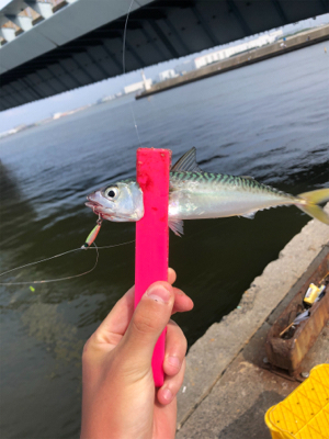 アジング兼サバゲー