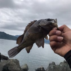 7月で釣れるとは‥笑