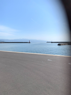 シーバス狙いで