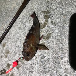 ポイント開拓！